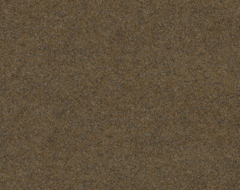 [1001111133_14] Forte Color у рулоні - 96005 desert